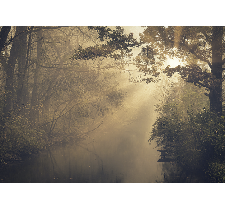 Fototapet natura peisaj luminos de pădure - TenStickers