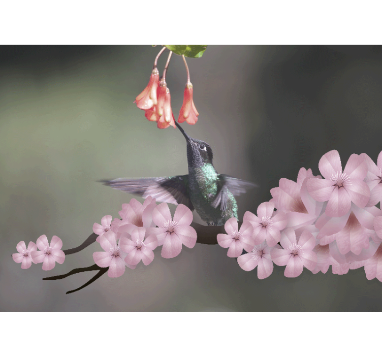 Fototapet animale colibri și flori - TenStickers