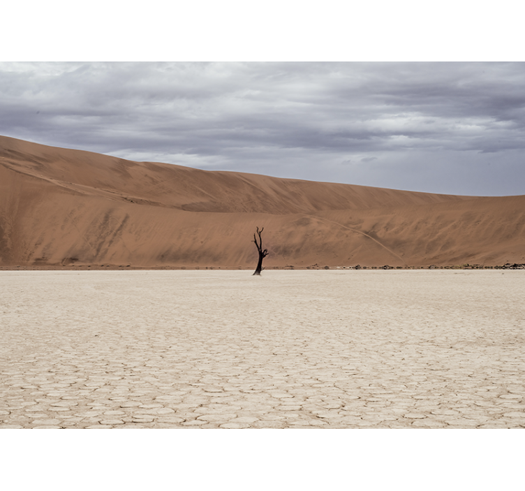 Muntele fototapet peisaj desertic - TenStickers