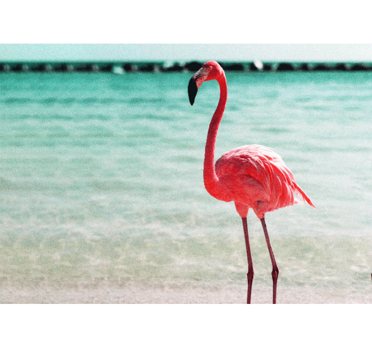 Fototapet animale poza grațioasă a flamingo-ului - TenStickers
