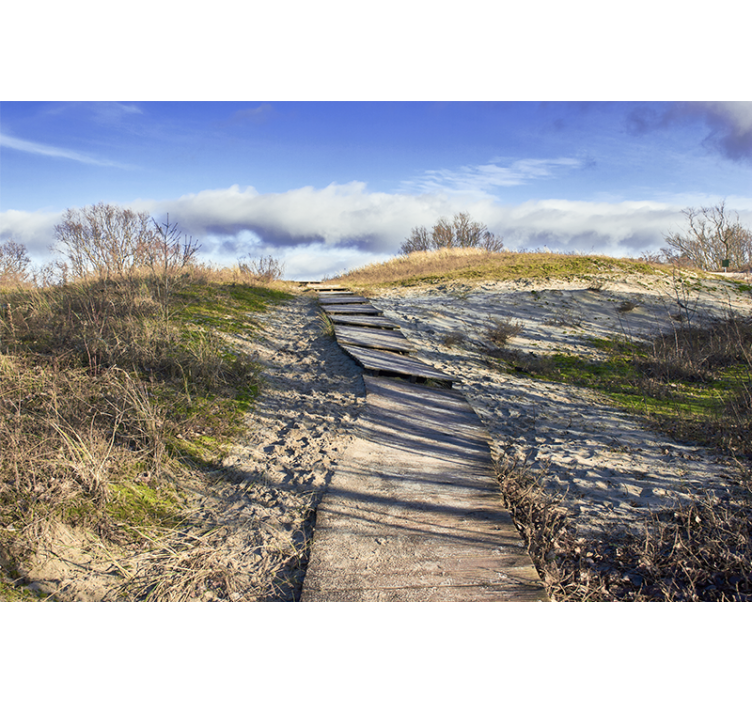 Fototapet peisaje alei din lemn - TenStickers