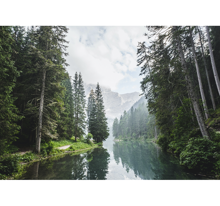 Fototapet peisaje ecoul pădurii liniștite - TenStickers