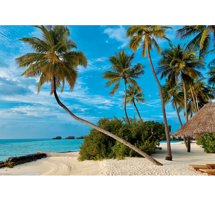 Fototapet natura peisaj cu palmieri tropicali - TenStickers