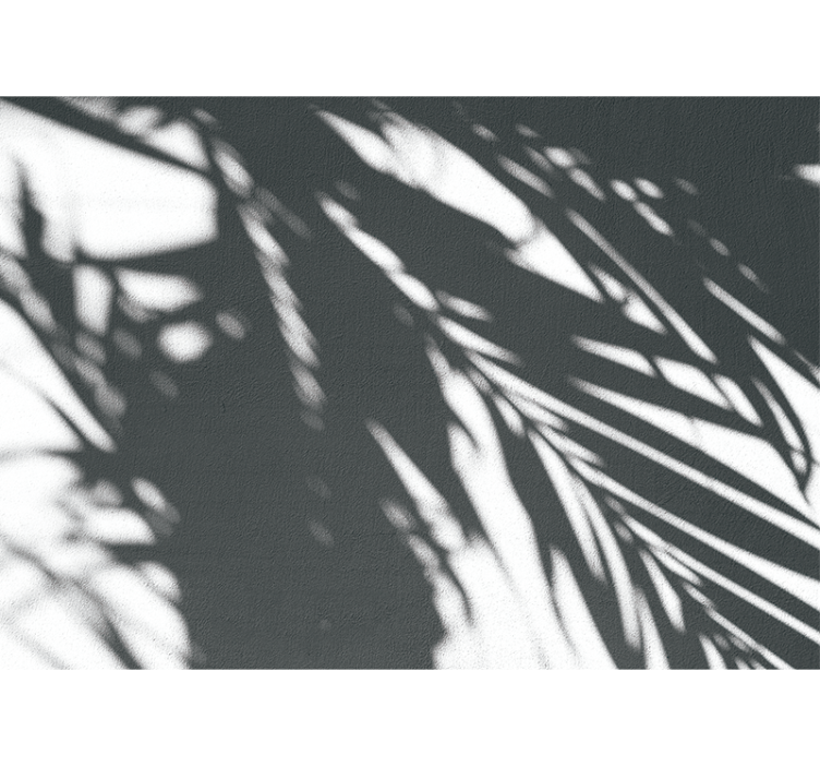 Fototapet natura modele de palmier în umbră - TenStickers