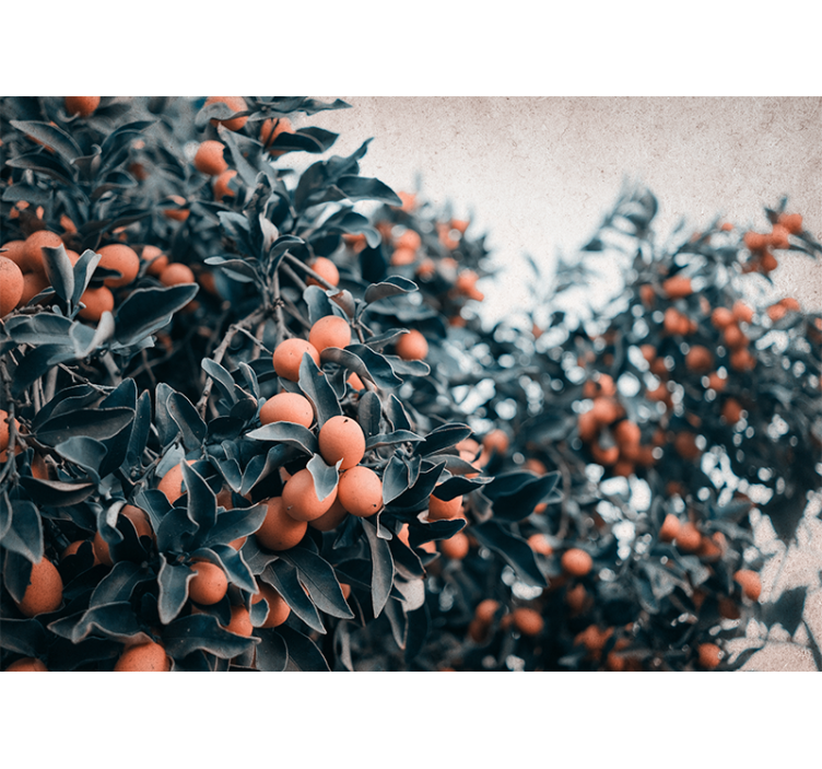 Fototapet cu flori ramă de citrice - TenStickers