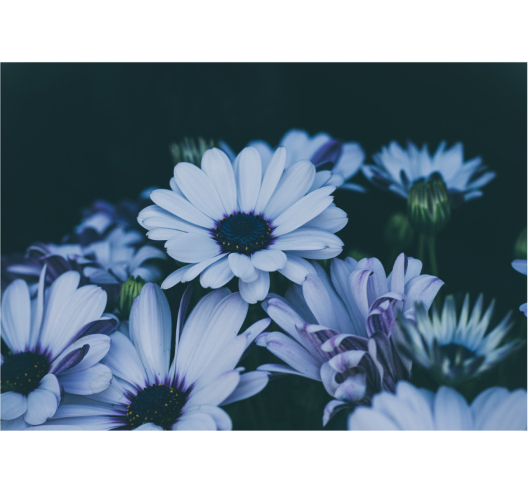 Fototapet cu flori aranjament floral seren - TenStickers