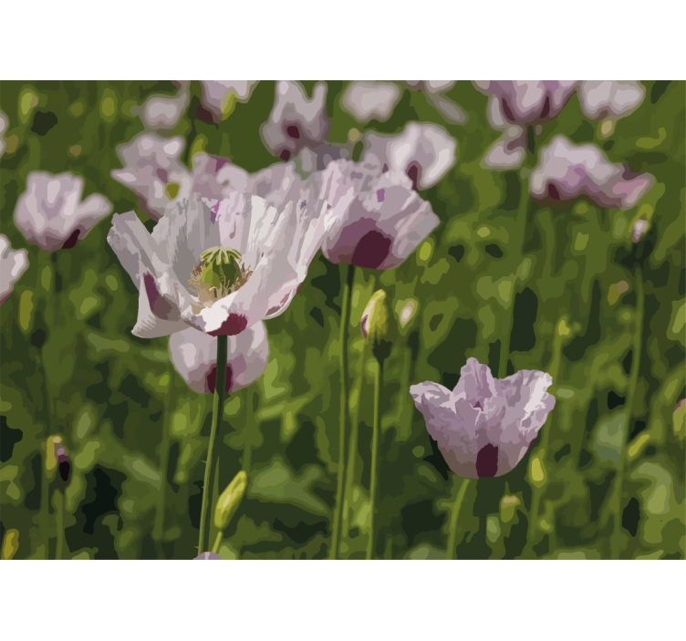 Fototapet maci eleganță florală - TenStickers