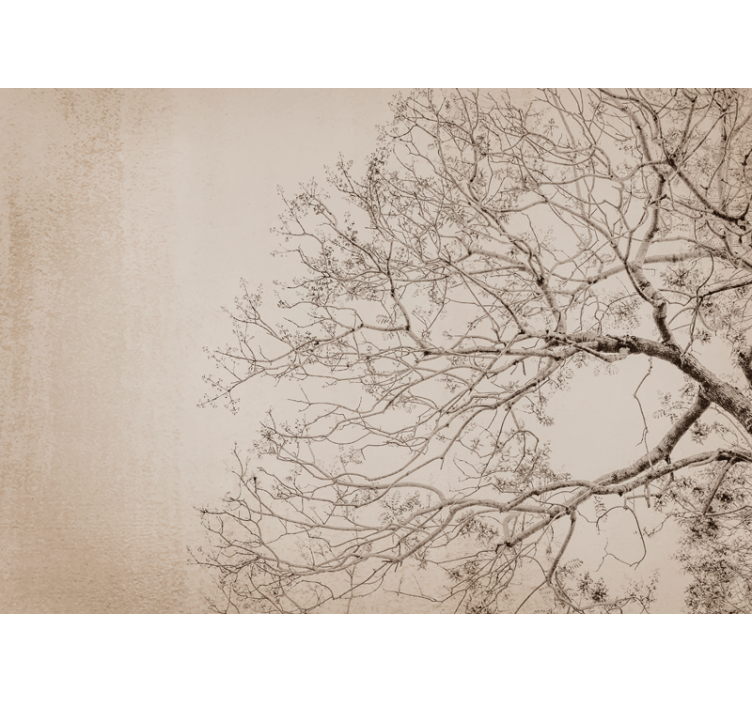 Arbori fototapet siluete frumoase de ramuri - TenStickers