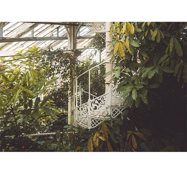 Fototapet natura oază de verdeață luxuriantă - TenStickers