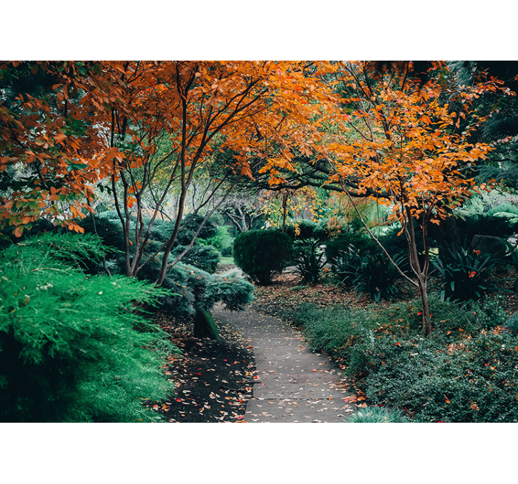 Fototapet natura aleile printre copaci - TenStickers