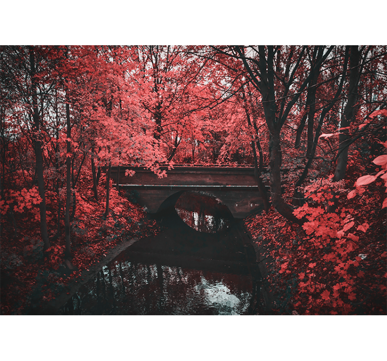 Fototapet natura pădure cu frunze roșii - TenStickers