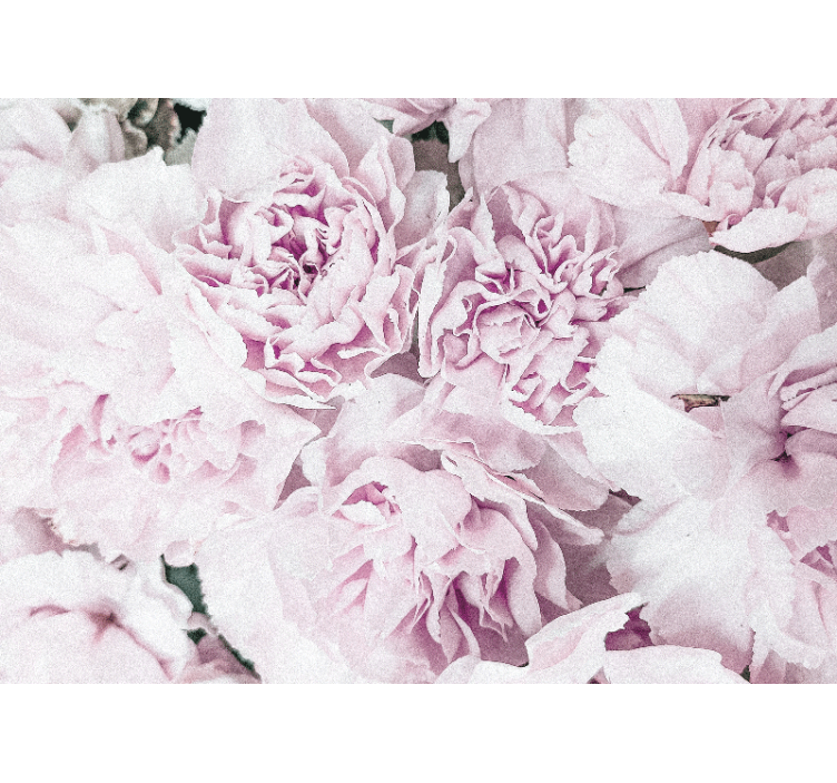 Fototapet cu flori bujori roz pal - TenStickers