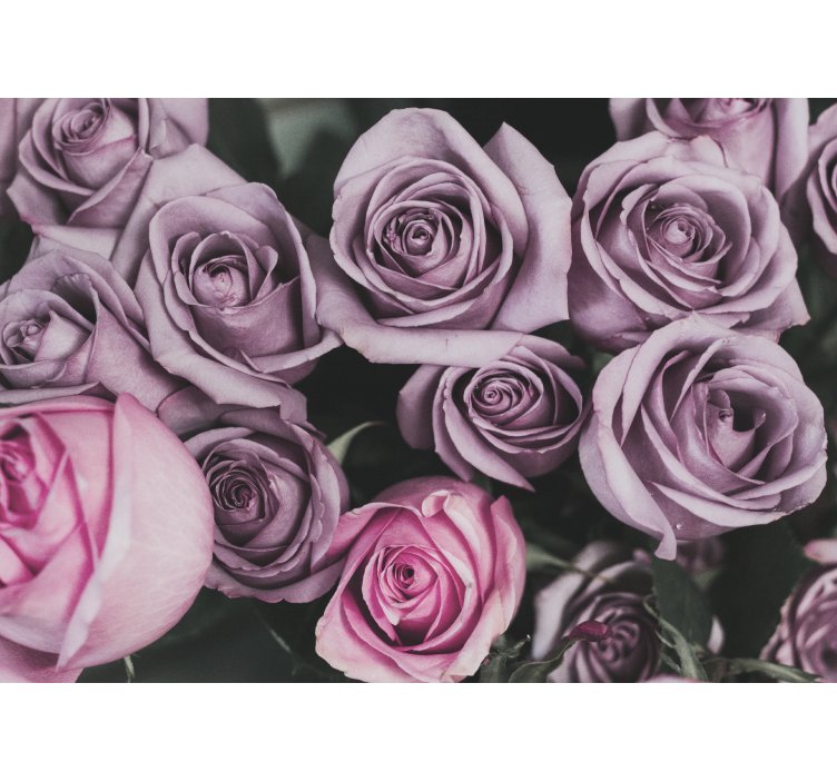 Fototapet cu flori buchet de trandafiri lavandă - TenStickers