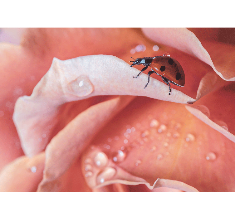 Fototapet gărgăriță în stil elegant cu flori roz - TenStickers