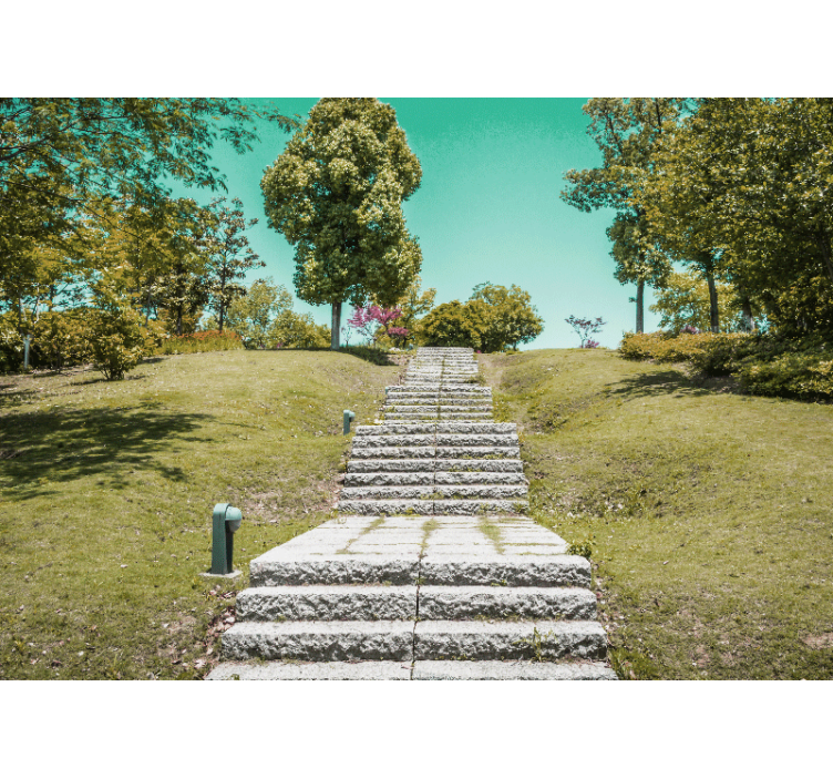 Fototapet natura scara prin natură - TenStickers