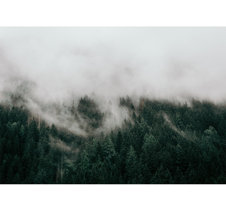 Păduri fototapet peisaj de pădure cețos - TenStickers