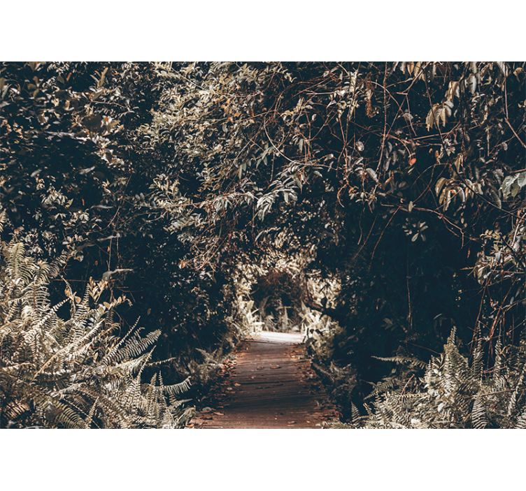 Fototapet natura calea din pădure - TenStickers