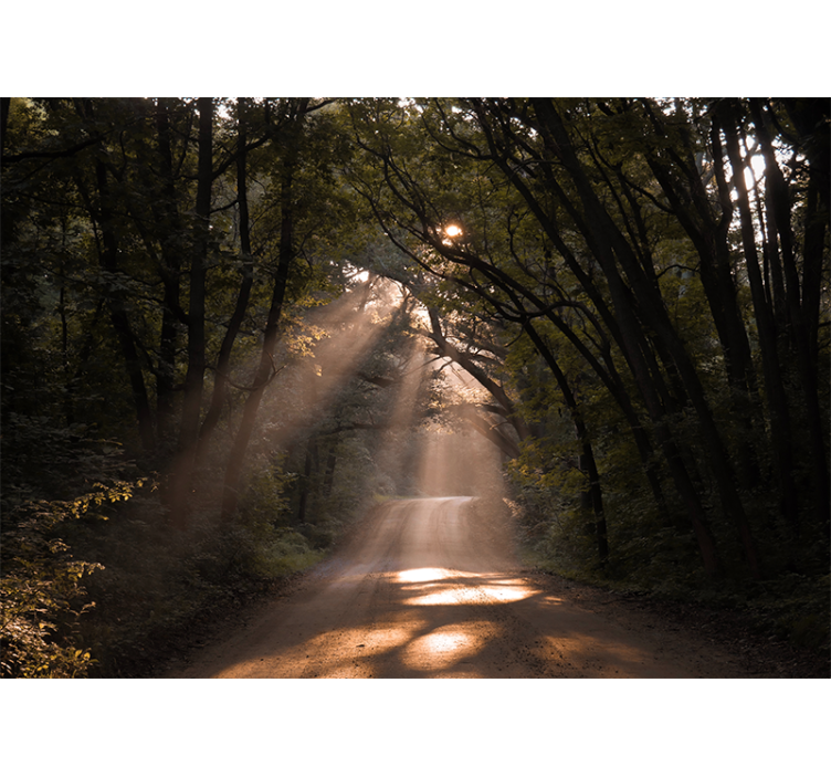 Fototapet natura poteca strălucitoare din pădure - TenStickers
