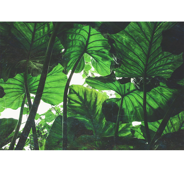 Fototapet natura acoperiș de frunze luxuriant - TenStickers