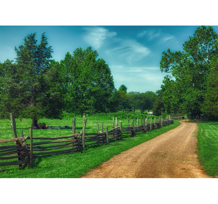 Fototapet peisaje aleile verzi vibrante - TenStickers