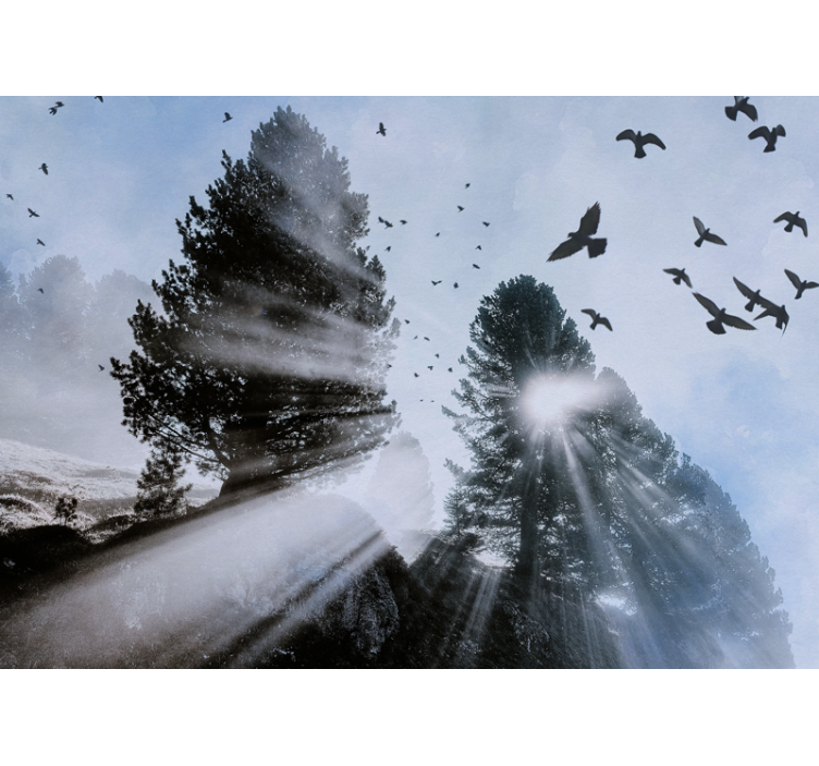 Păduri fototapet raze radiante de orest cu pasari - TenStickers