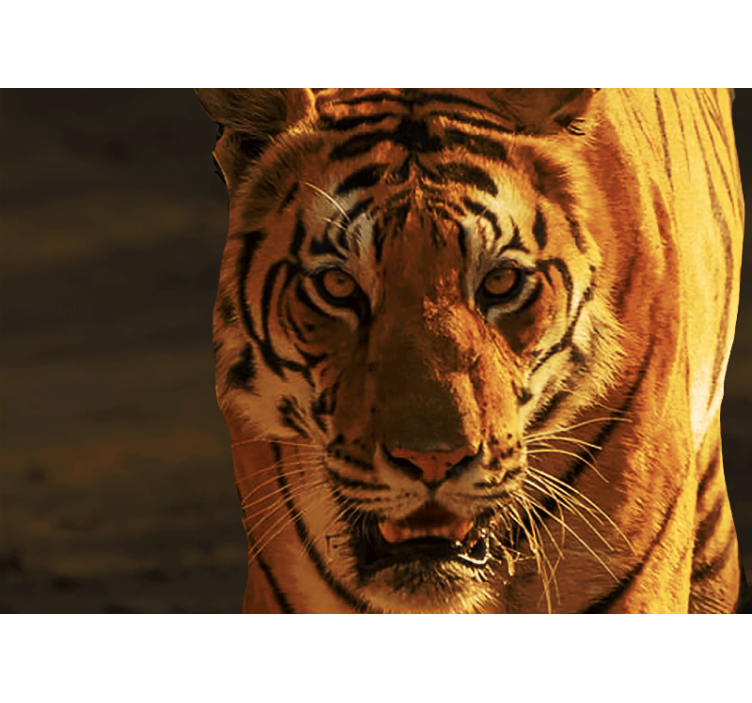 Fototapet cu tigru amenințător și furios - TenStickers