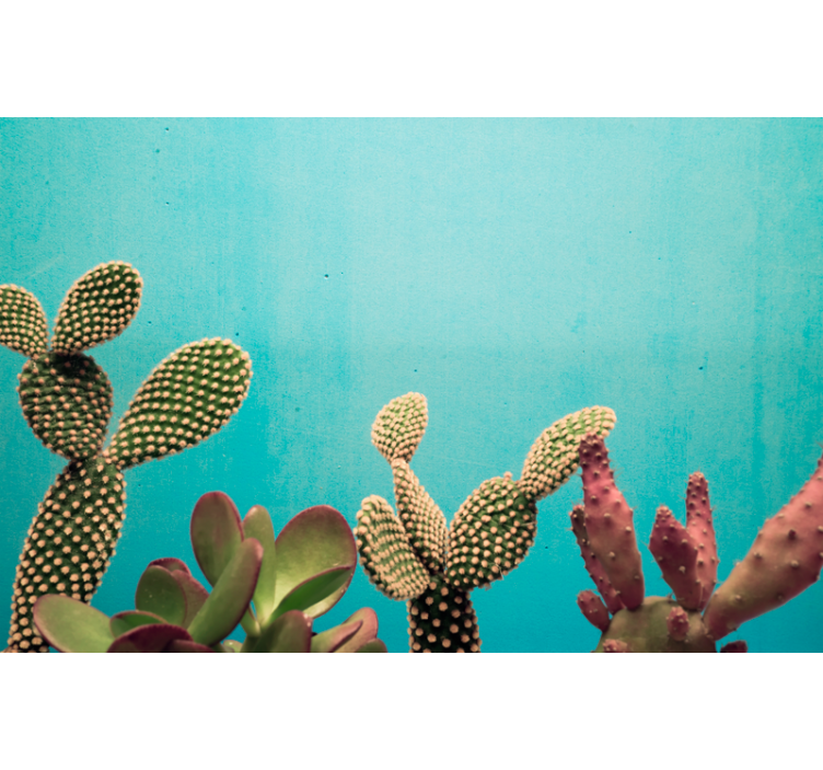 Fototapet cu plante cactus albastru - TenStickers