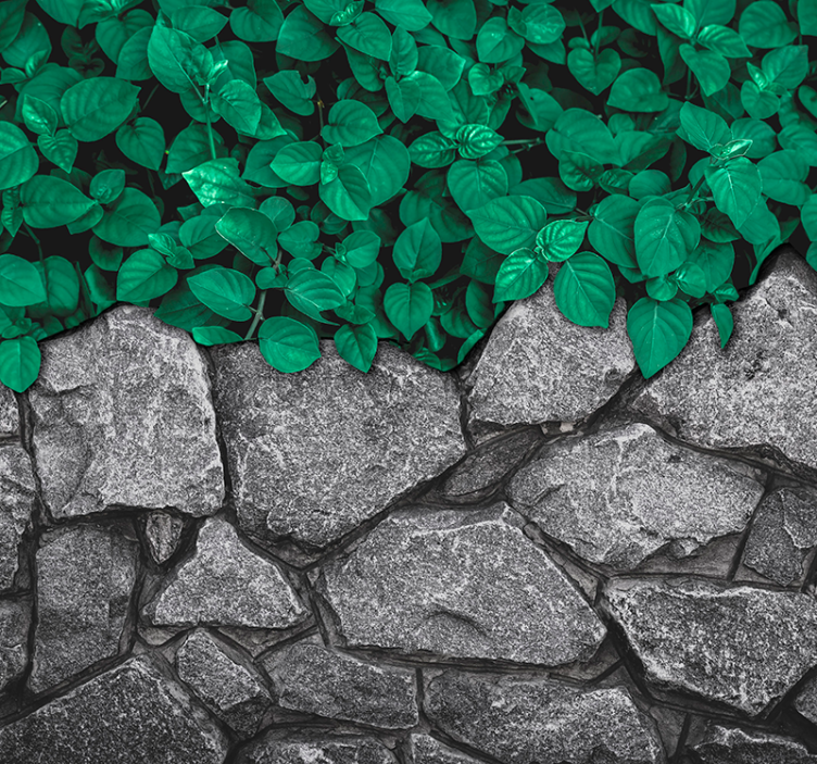 Fototapet camera de zi frunze și pietreFrunze și pietre - TenStickers