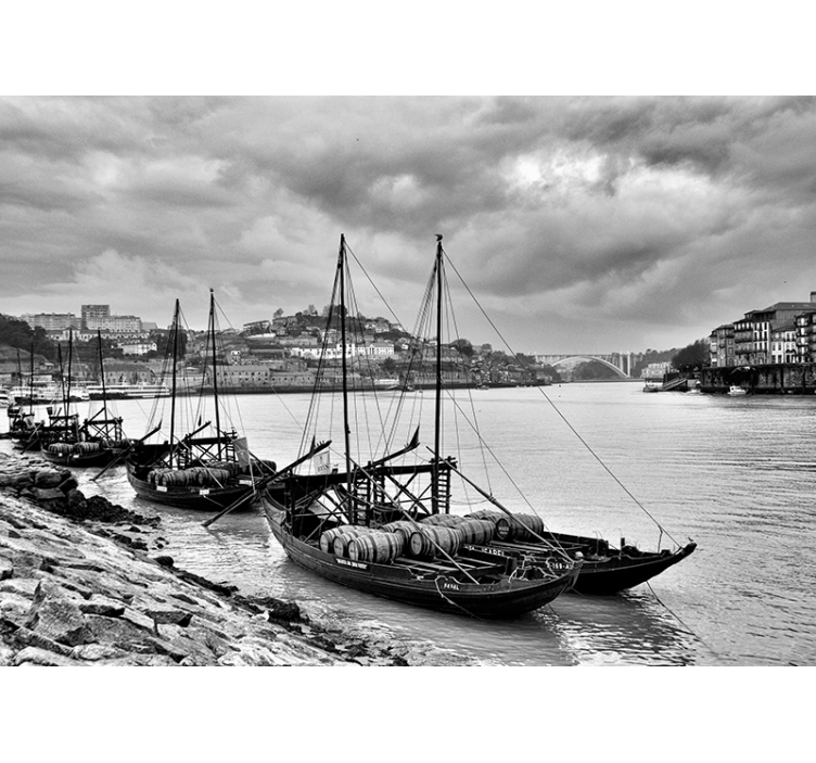 Fotomuraluri cu alte orașe și țări oporto solzi de gri - TenStickers