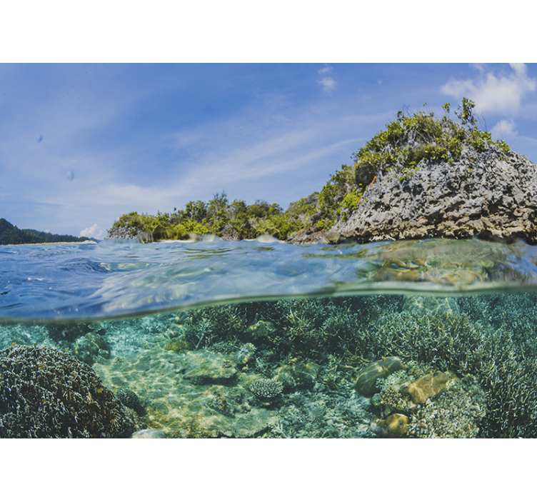 Fototapet peisaje peisaj marin subacvatic - TenStickers