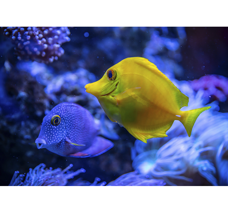 Pește albastru și galben pește mural mural - TenStickers