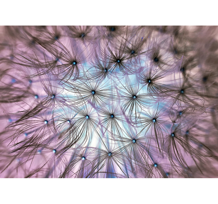 Fototapet de fantezie amăgirea păpădiei - TenStickers