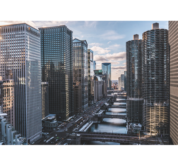 Fototapet de oraș vedere asupra orizontului din chicago - TenStickers