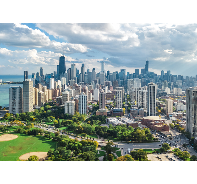 Pictură murală oraș chicago city și lincoln park - TenStickers