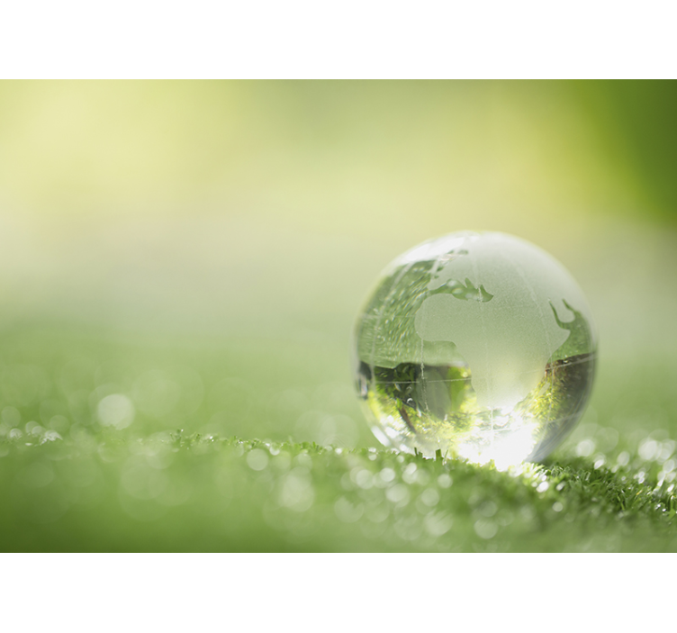 Pictură murală de pădure picătură de apă peste iarbă - TenStickers