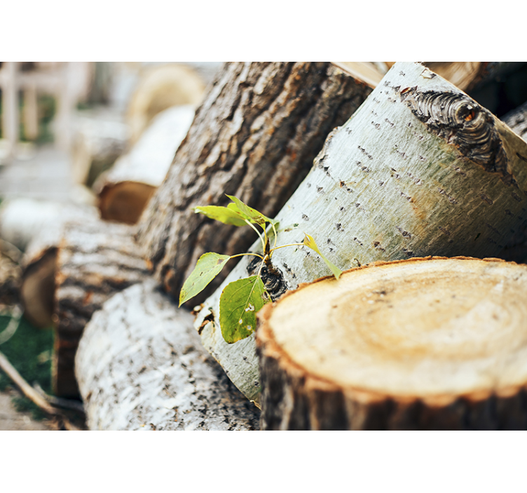 Frunze verzi pe perete de copac din lemn de pădure - TenStickers