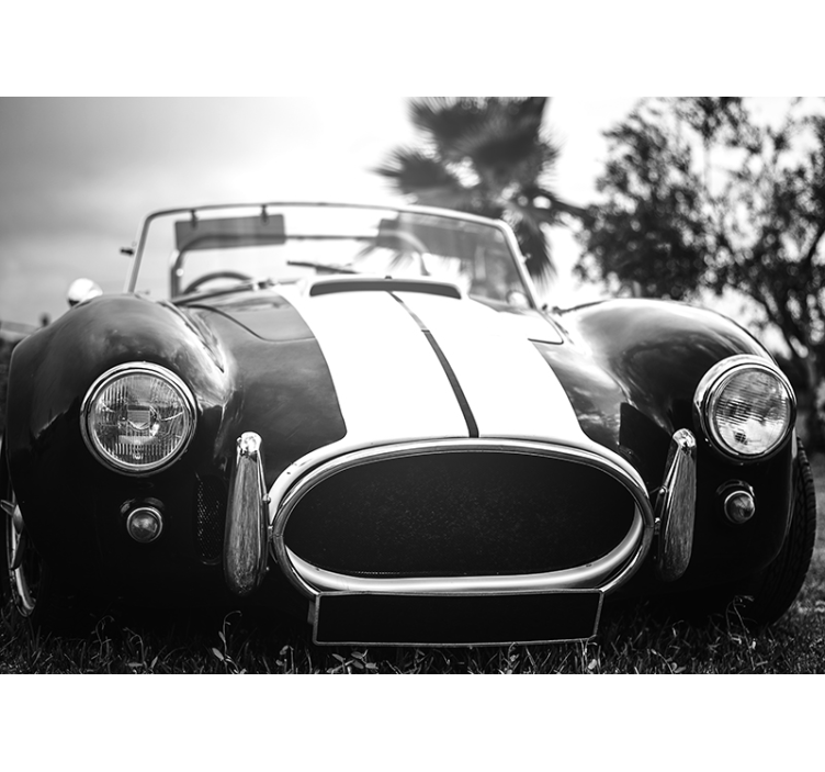 Tapet de fotografie cu mașini de curse vintage - TenStickers