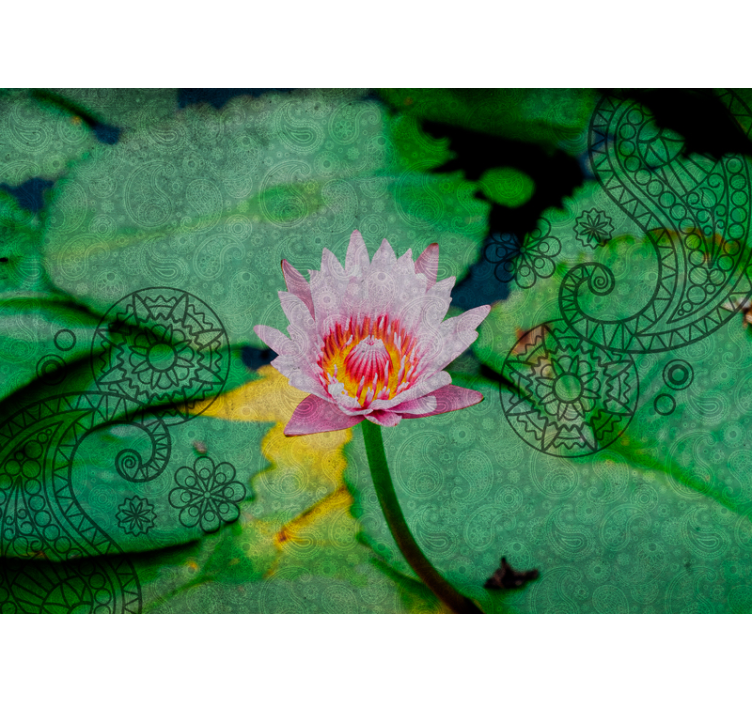Fototapet maci eleganța floarei de lotus - TenStickers