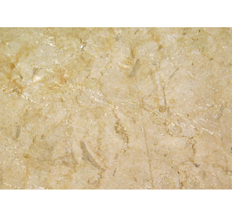 Pictură murală de piatră maro deschis - TenStickers