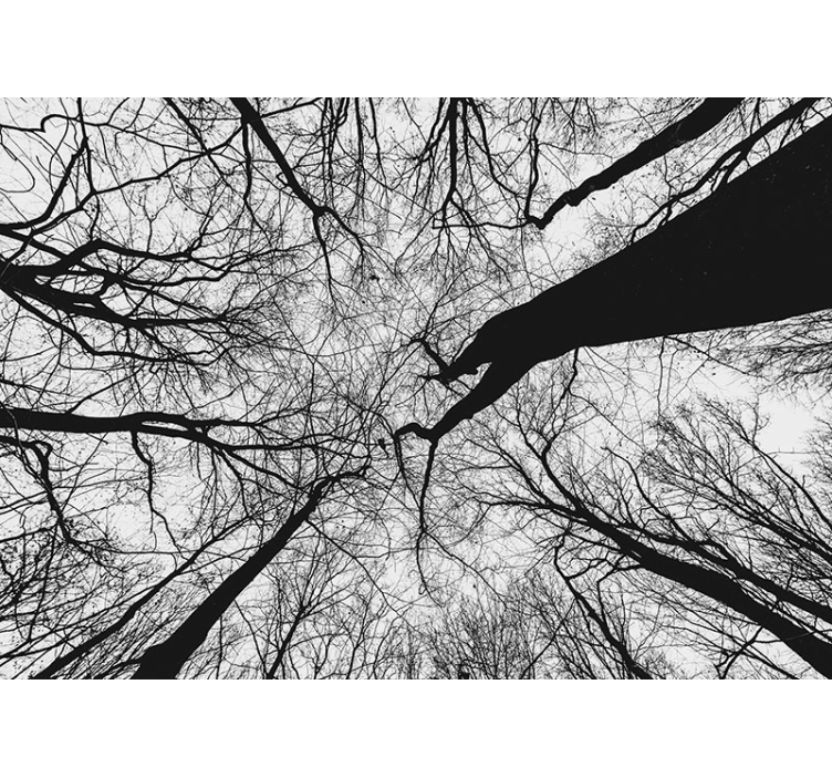 Arbori fototapet siluete de ramuri împletite - TenStickers