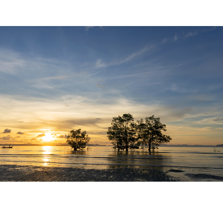 Plajă apus de soare sub muralul mării - TenStickers