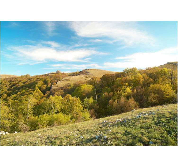 Fototapet peisaje peisaj cu dealuri ondulate - TenStickers