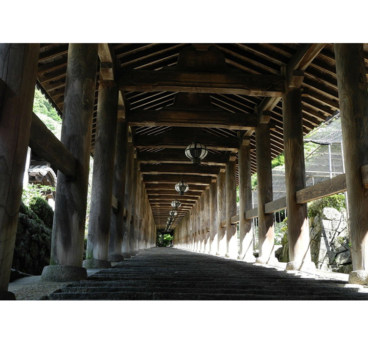 Păduri fototapet vedere pe aleea de lemn - TenStickers