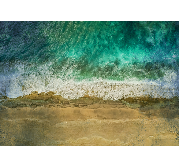 Fototapet natura expunere plante costiere - TenStickers