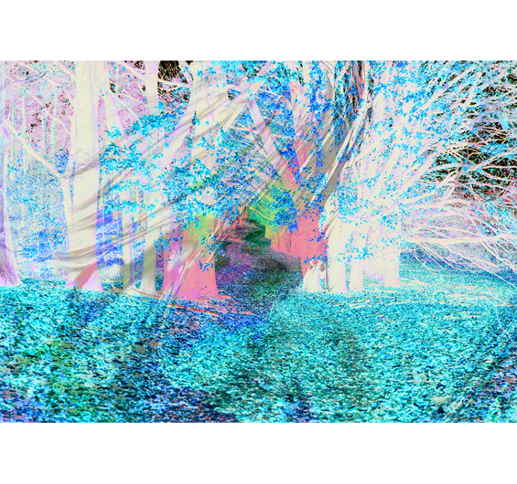 Păduri fototapet calea toamnei - TenStickers