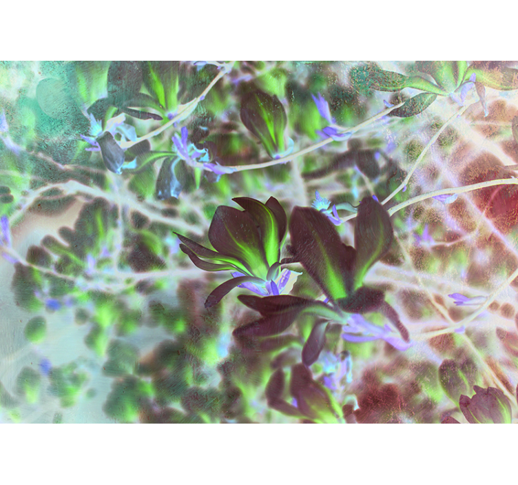 Fototapet orhidee explozie de flori de magnolie - TenStickers