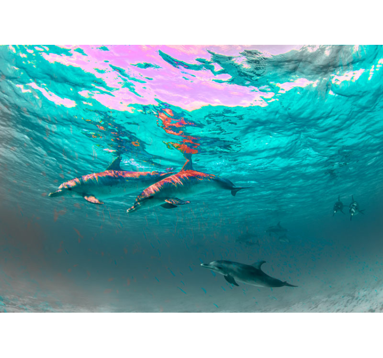 Delfinii înotând în mare sub pictura murală - TenStickers