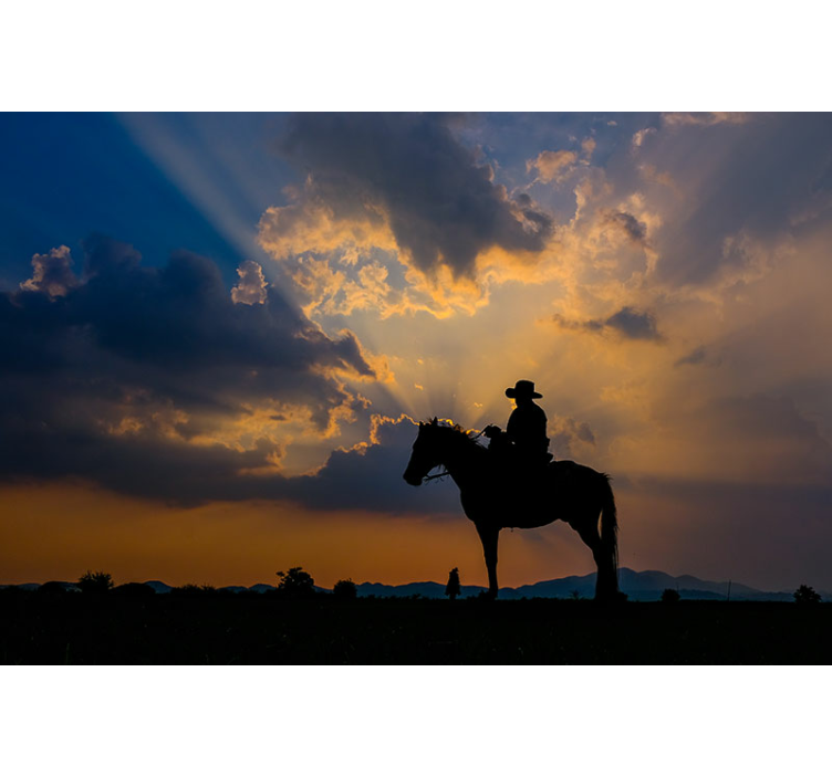 Fototapet animale cavaler pe cal - TenStickers