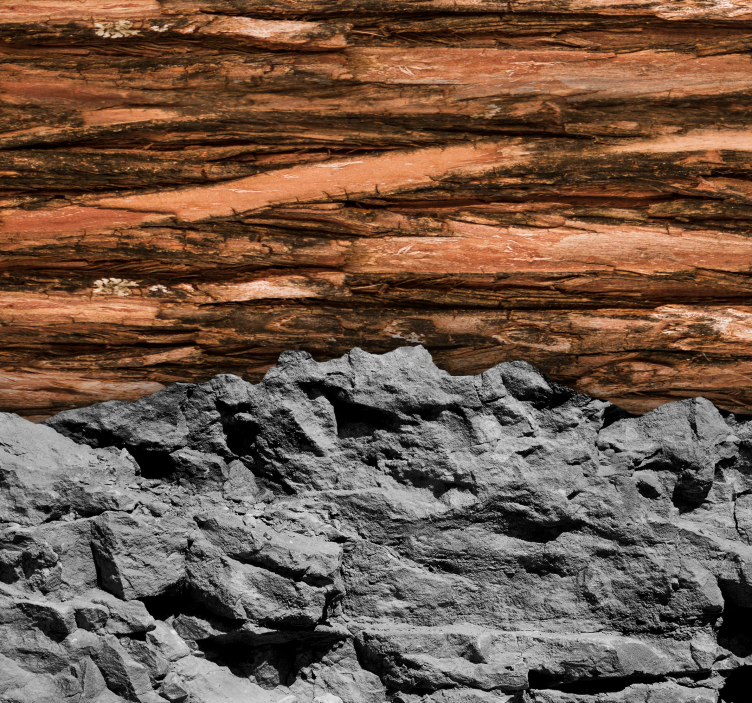 Fototapet camera de zi lemn și piatră - TenStickers