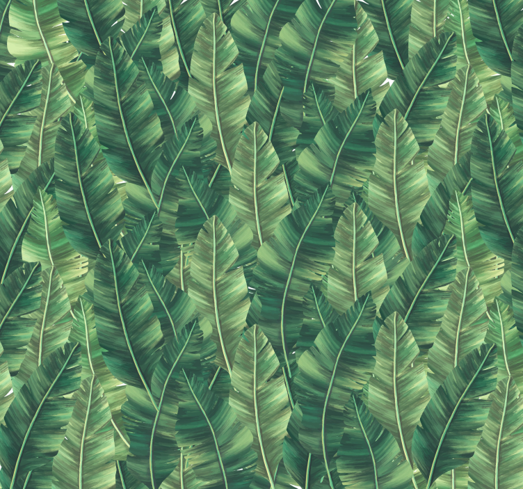 Fototapet natura frunze mari - TenStickers